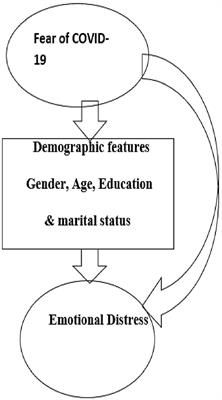 Association Between Fear of COVID-19 and Emotional Distress in Nurses With Mediating Role of Socio-Demographic Features